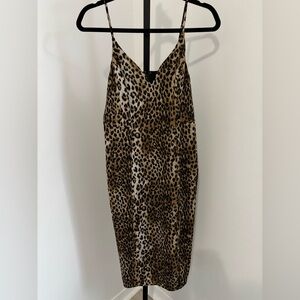 Express Slip Leopard Dress